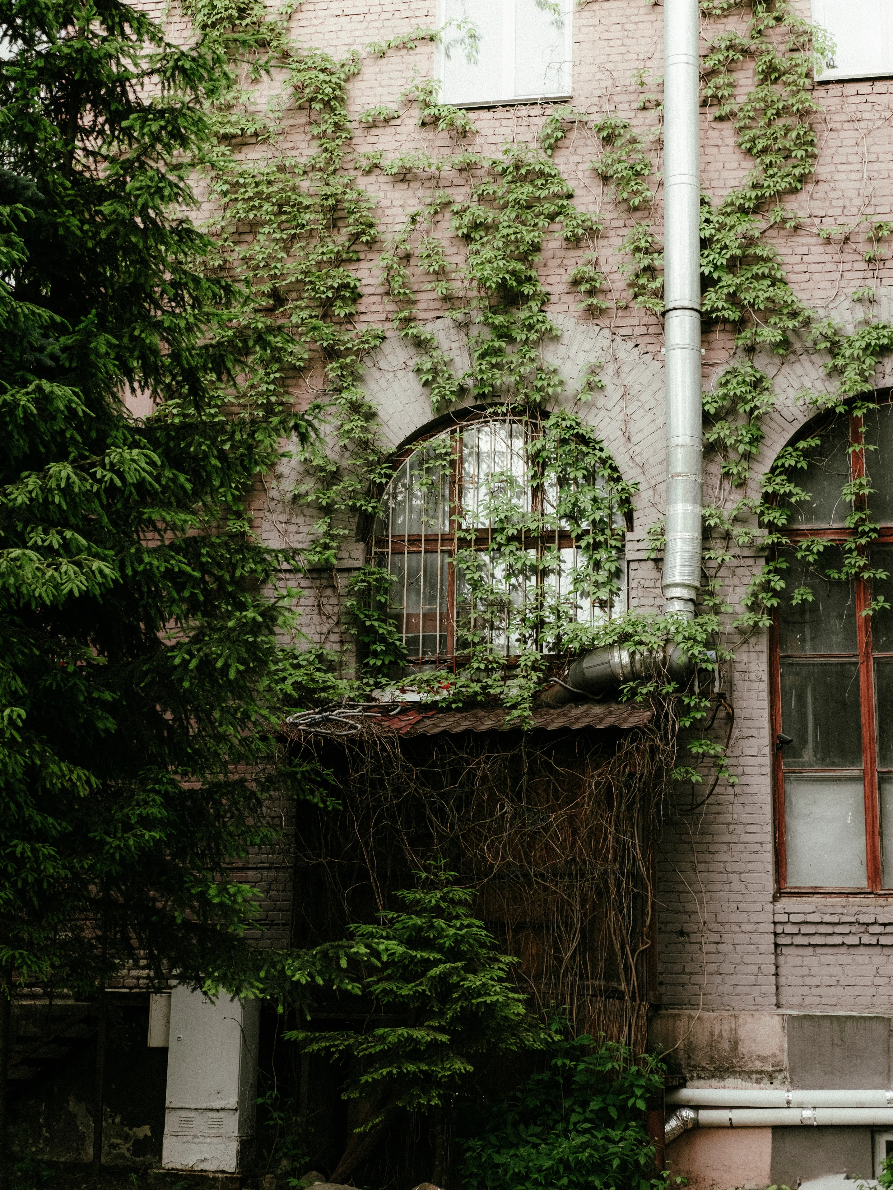 Стрит фотография — кадр 9